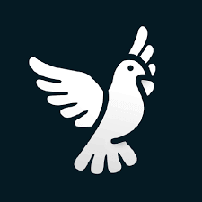Byedpi APK v1.2.0 untuk Android
