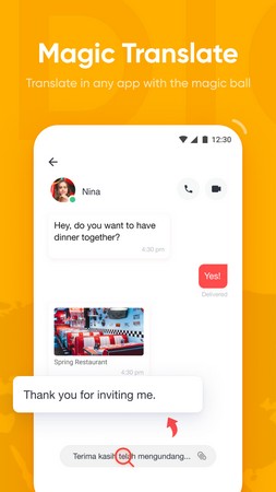 Screenshot U-Dictionary APK