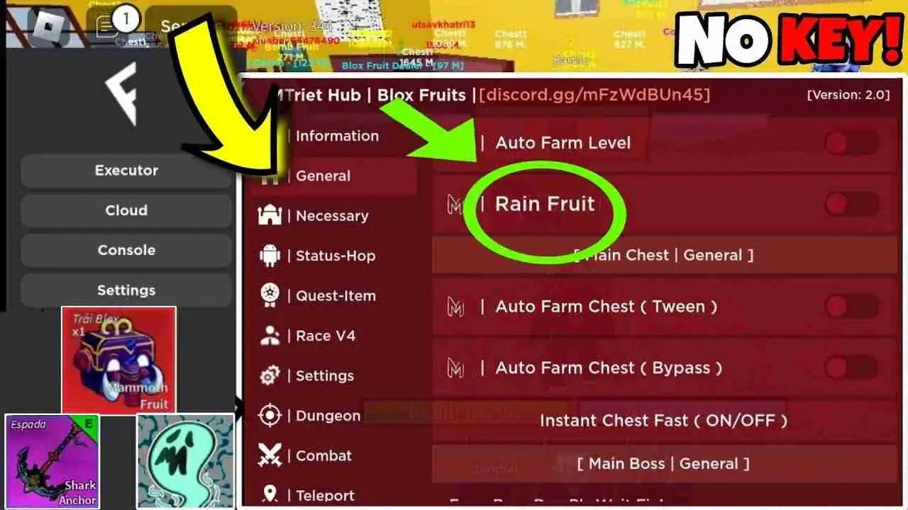 Screenshot Blox Fruits Script APK